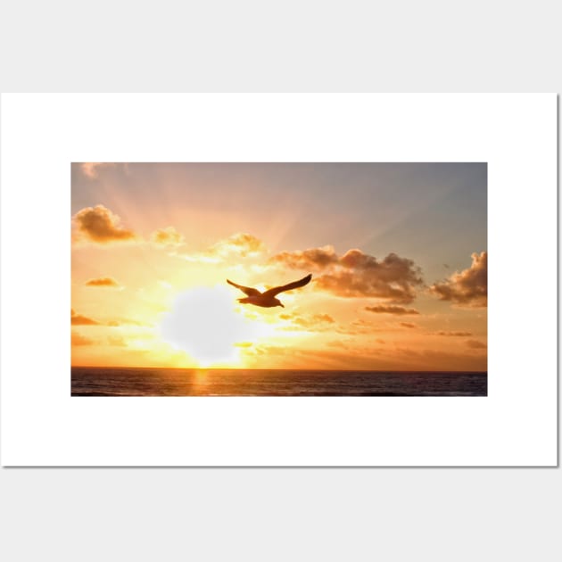 Sunset photobomb by gull Wall Art by Photography_fan